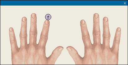 Colocación de los dedos en el teclado - MECANET
