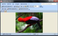 Ventajas y Desventajas de usar el programa Microsoft Office Picture Manager. Ventajas y Desventajas de Microsoft Office Picture Manager