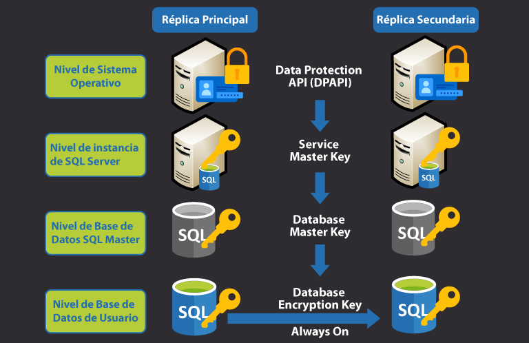 Agregar una base de datos con encriptación TDE a un grupo de disponibilidad Always On SQL Server