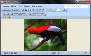 Microsoft Office Picture