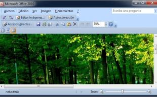 Para qué sirve el programa Microsoft Office Picture Manager