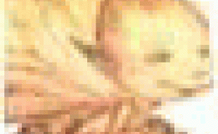 SQLCMD de Sql Server